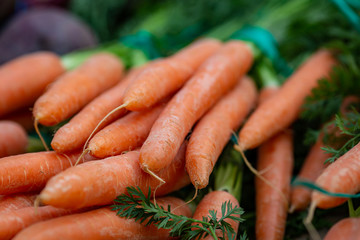 Bunches of carrots for sale on a market stall, with a shallow depth of field