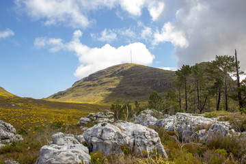 Fynbos-Landschadft im Silvermine Nature Reserve, Western Cape, South Africa