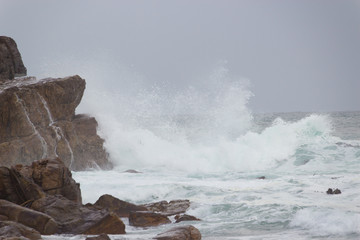 Kap der Guten Hoffnung, Western Cape, Südafrika
