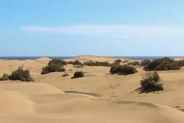 Fototapeta na wymiar sand dunes near sea