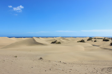 sand dunes