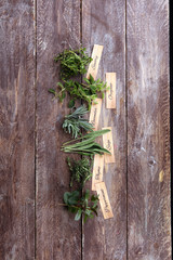 Homegrown and aromatic herbs on rustic background with sage and peppermint with labels