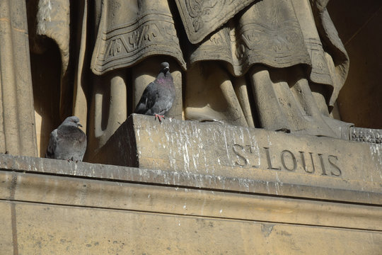 Pigeons pos&eacute;s sur une statue de Saint Louis &agrave; l'&eacute;glise de la Madeleine &agrave; Paris, France.