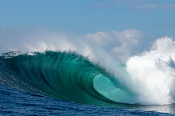 Perfect big blue breaking wave - obrazy, fototapety, plakaty