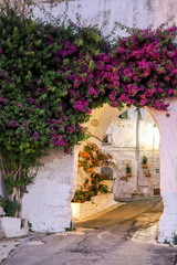 Fototapeta na wymiar Purple flowers on the white wall with arch in a historic ancient center of Italian town