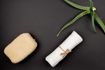 Accessories for the bathroom and green sprout aloe on the black background.