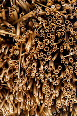 Thatched roof on an old house.