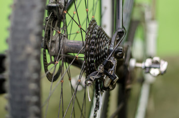 mountain bike repair. The best workshop. Rear wheel and cassette closeup