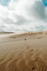 Fototapeta na wymiar Giant sand dunes