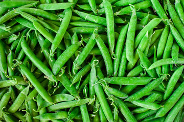 Green pea. Background of green peas. Proper nutrition.