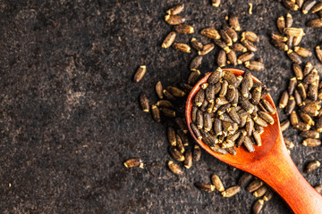 Milk thistle seeds.