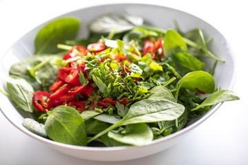 Close up of tasty green salad on a white plate