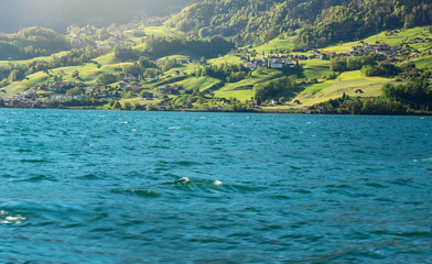 Summer scenery in Switzerland with lake and green hills