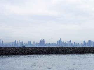 Obraz premium panama