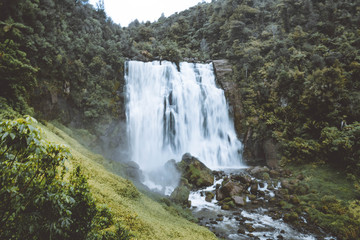 Fototapeta premium waterfall in forest