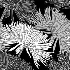 Seamless pattern with chrysanthemums in black white grey for decoration textile and cloth or for wallpaper and draper or for background of different things