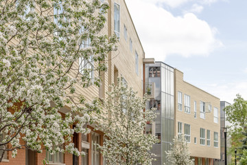 Fototapeta premium Modern neighborhood in spring