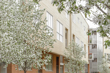 Modern building surrounded by blooming trees