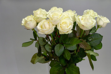 Bouquet of white roses in a glass vase on a gray background, greeting card or concept