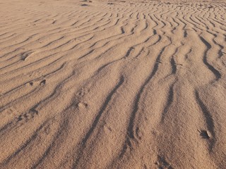 Ripple marks in desert