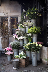 Fototapeta na wymiar variety of colors near the Liberty store in London. Large bouquets in tin vases. Pink roses
