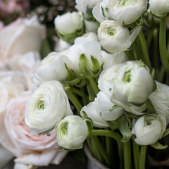 Design card from bouquet of white pink purple Ranunculus.