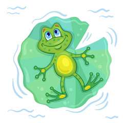A dreamy frog swims on a large green leaf and looks up at the sky. In cartoon style. Isolated on white background. Vector illustration.