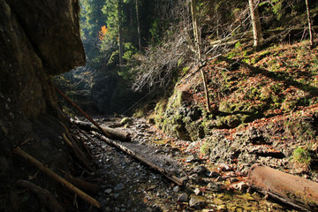 Sucha Bela gorge in Slovak Paradise National Park, Slovakia 