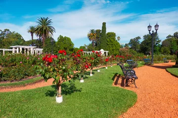 Foto op Plexiglas Rose Park in Parque Tres de Febrero, of Bosques de Palermo (Palermo Woods in het Engels), een stadspark in de buurt van Palermo in Buenos Aires, Argentinië. Prachtig romantisch pad, rozenstruiken © tilialucida