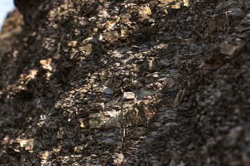 Abstract texture. Mysterious stranger background. Stone wall. Rock texture. Stone background. Cracked lava surface. Rock surface with cracks. Stone texture. 