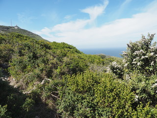 Fototapeta na wymiar Kap der Guten Hoffnung - Cape of Good Hope - Kaap de Goede Hoop