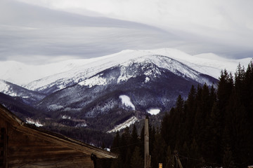Winter in the mountain village Dzembronya with Chornohora ridge !