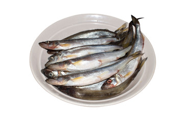 Fresh raw smelt on a white background.Smelt is a fresh fish.Smelt background.