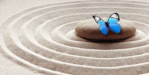  garden meditation stone background and butterfly with stones and lines in sand for relaxation balance. © Belight