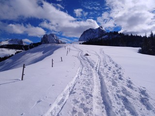 Fototapeta na wymiar winter mountain landscape with mountains and blue sky Gantrisch Nature Park horizontal view Switzerland 