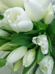 White bouquet of red and yellow tulips with green leaves.