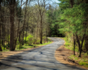 Fototapeta premium Winding Road
