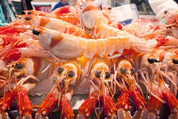 Huge king prawns are laid out for sale at the fish market.