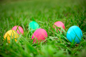 Easter eggs on fresh green grass. Egg hunt. Happy Easter. Spring time
