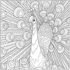 stylization of a peacock, against the background of a fluffy tail, for coloring for adults, t-shirts with a pattern, a poster, etc.