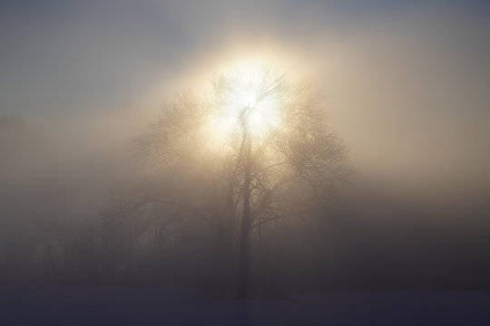 21,677 BEST Divine Light IMAGES, STOCK PHOTOS & VECTORS | Adobe Stock
