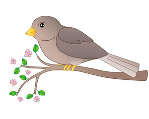 A small bird - a sparrow sits on a flowering branch - a full-color vector spring picture. Gray-brown cute bird on a branch with young leaves and pink flowers