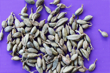 Dry cardamom seed (Elettaria cardamomum) displayed colorful backgrounds