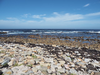 Fototapeta na wymiar Kap der Guten Hoffnung - Cape of Good Hope - Kaap de Goede Hoop