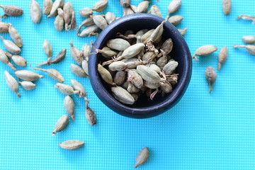 Dry cardamom seed (Elettaria cardamomum) displayed in containers
