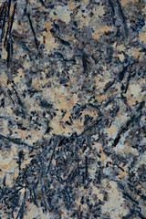 Gold and white Patterned natural of dark gray marble texture background for product design.