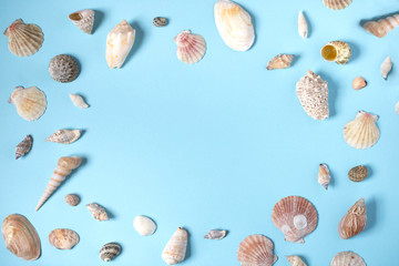 Beautiful seashells of different shapes on the blue background