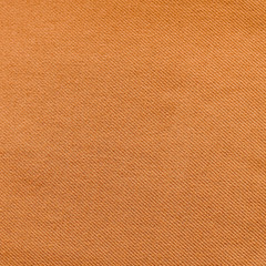 Beige or light brown fabric for background