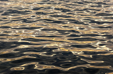 Liquid Gold, Ripples at sunset, Sydney Australia