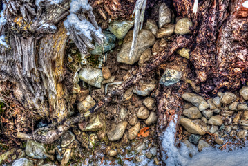 stones and earth under a tree roots in winter with snow